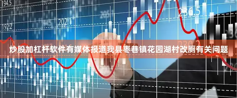 炒股加杠杆软件有媒体报道我县枣巷镇花园湖村改厕有关问题