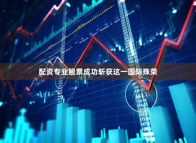 配资专业股票成功斩获这一国际殊荣