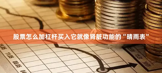 股票怎么加杠杆买入它就像肾脏功能的“晴雨表”