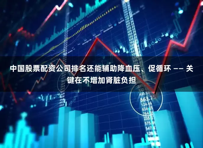 中国股票配资公司排名还能辅助降血压、促循环 —— 关键在不增加肾脏负担