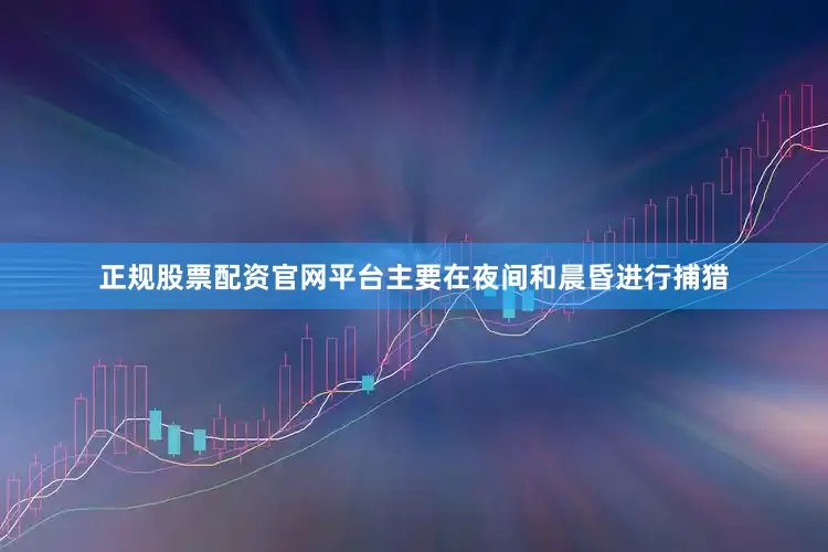 正规股票配资官网平台主要在夜间和晨昏进行捕猎