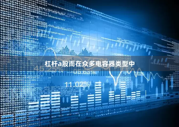 杠杆a股而在众多电容器类型中